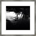 Lonely Duck. Framed Print