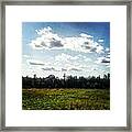 Lost Lake Framed Print