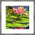 Lotus Blossoms Framed Print