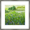 Loumarin South Of France Wild Lavender Framed Print