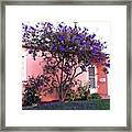 Love How Vivid The Flowers On The Tree Framed Print