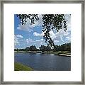 Lovely Day Framed Print