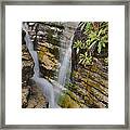 Lower Adams Falls Framed Print