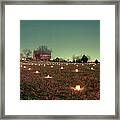 Luminaries In The Pasture 11 Framed Print