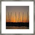 Marina At Sunset Framed Print