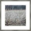 Marsh Land Framed Print