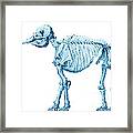 Mastodon Skeleton Framed Print