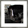 Menorca Horse 2 Framed Print