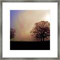 Misty Morning Framed Print