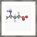 Monosodium Glutamate Molecule Framed Print