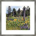 Montana Wildflowers Framed Print