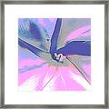 Moon Flower Blossom Framed Print