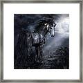 Moon Shadow Framed Print