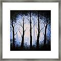 Moonlight Forest Framed Print