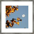 Moonset Morning Framed Print