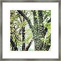 More Trees!!! I Love Rainy Spring Framed Print