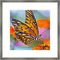Morning Butterfly Framed Print