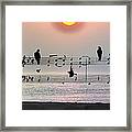 Morning Song Framed Print