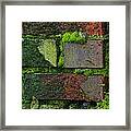 Mossy Brick Wall Framed Print