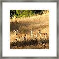 Mother And Twins Framed Print