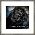 Mouse---what Mouse Framed Print