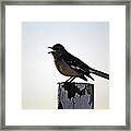 Mouthy Mockingbird Framed Print