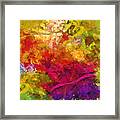 Moving Color Framed Print