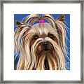 Muffin - Silky Terrier Dog Framed Print by Michelle Wrighton