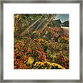 Mums The Word Framed Print