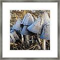 Mushroom Family Framed Print