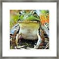 My Frog Friend Framed Print