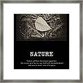 Nature Framed Print