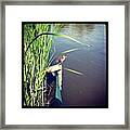 #nature #london #highgate #pretty Framed Print