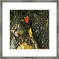 #nature #tree #flower #trumpet #log Framed Print
