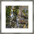 Nature's Abstract Framed Print