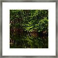 Nature's Reflection Framed Print