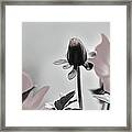 New Life Framed Print