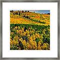 New Mexico Colors Framed Print