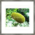 .
.
I Found This Young Green Framed Print