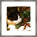 Nom!  Garland Cat!  :3 Framed Print