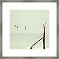#norfolk #seagulls... #latergram #birds Framed Print