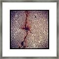 Not All It's Cracked Up To Be Framed Print