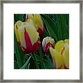 Noticeable Framed Print