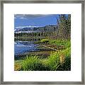 Nutzotin Mountains And Boreal Forest Framed Print