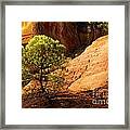 Ocher. Roussillon. Luberon Framed Print