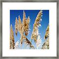 Of Sun And Sky And Wind 2 Framed Print