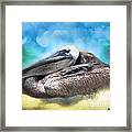 Old Mr. Pelican Framed Print