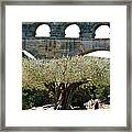 Old Olive Tree Under The Pond De Gard France Framed Print
