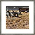 Old West Framed Print