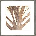 Once Upon A Tree Framed Print